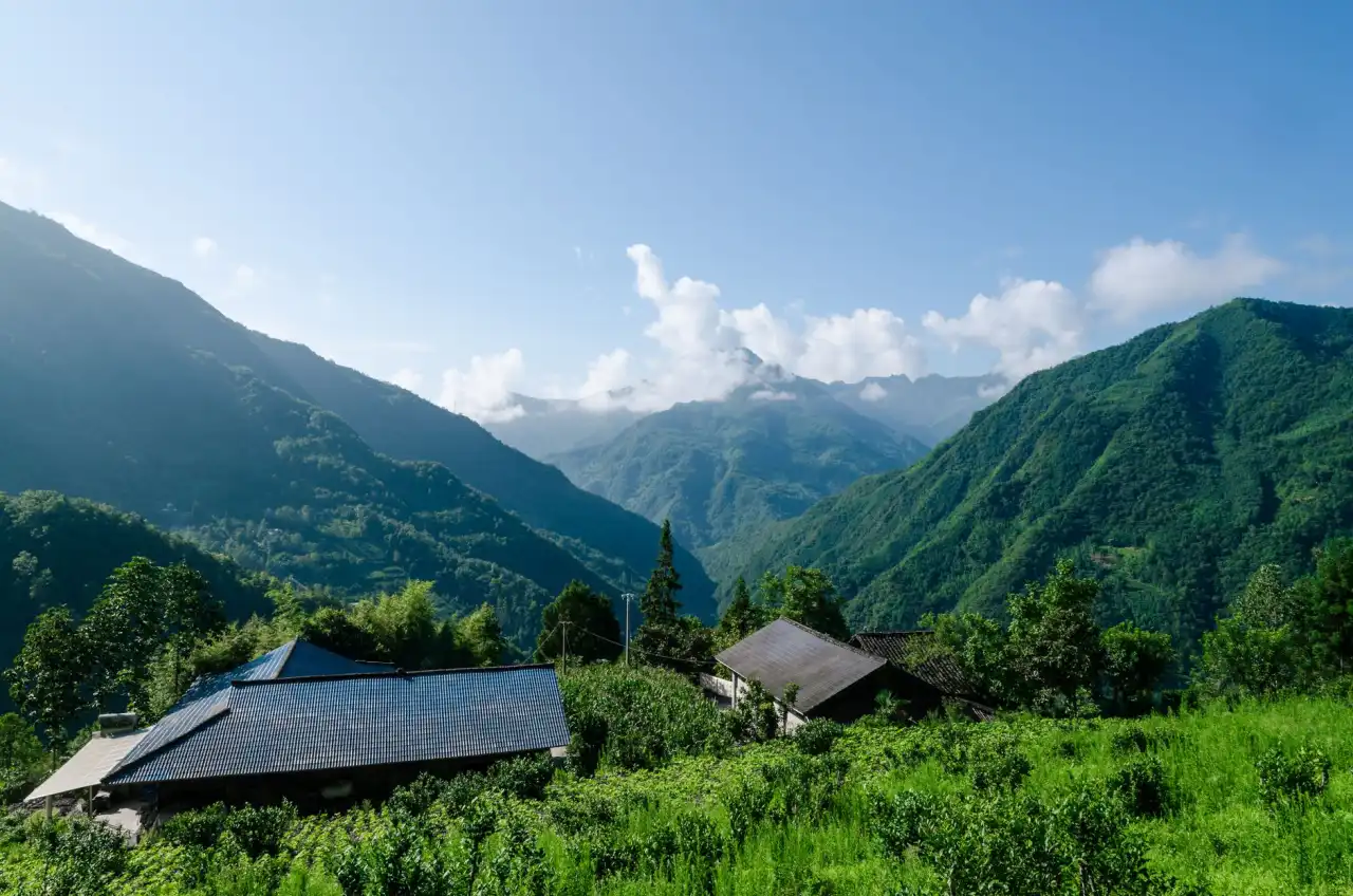 阜新蒙古族自治县红旗医院：县域综合医疗服务的规范化建设与诊疗能力提升